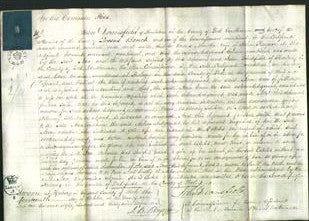 Court of Common Pleas - Ann Rayner-Original Ancestry