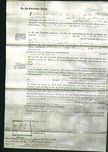 Court of Common Pleas - Elizabeth Gover-Original Ancestry