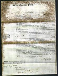 Court of Common Pleas - Eliza Mason-Original Ancestry