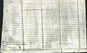 Court of Common Pleas - Sarah Wakefield-Original Ancestry
