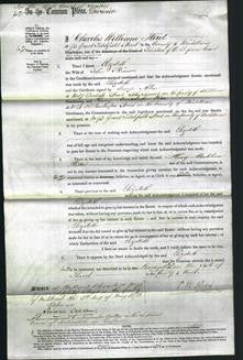 Court of Common Pleas - Elizabeth Skinner-Original Ancestry