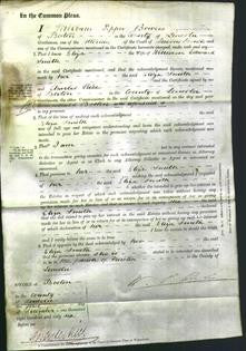 Court of Common Pleas - Eliza Tillson Smith-Original Ancestry