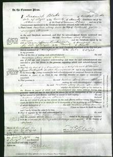 Court of Common Pleas - Caroline Mary Anne Skinner-Original Ancestry