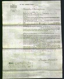 Court of Common Pleas - Eliza Bint-Original Ancestry