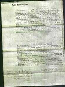 Court of Common Pleas - Elizabeth Ann Smith-Original Ancestry