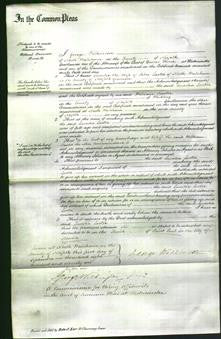 Court of Common Pleas - Lucretia Larter-Original Ancestry
