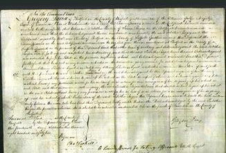 Court of Common Pleas - Tabitha Rogers-Original Ancestry