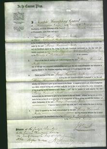 Court of Common Pleas - Mary Hannah Ruth White-Original Ancestry