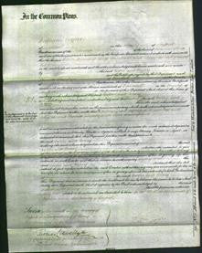 Court of Common Pleas - Esther Whitehurst and Mary Riley-Original Ancestry