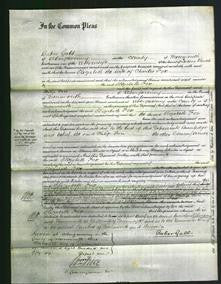 Court of Common Pleas - Elizabeth Fox-Original Ancestry