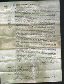 Court of Common Pleas - Ann Read-Original Ancestry