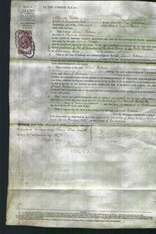 Court of Common Pleas - Sarah Rebecca Colchester-Original Ancestry