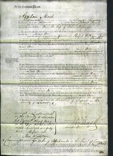 Court of Common Pleas - Ann Messenger-Original Ancestry