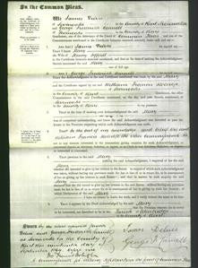 Court of Common Pleas - Mary Jefford-Original Ancestry