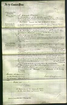 Court of Common Pleas - Judith Jordan-Original Ancestry