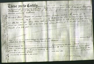 Deed by Married Women - Catherine Stringer-Original Ancestry