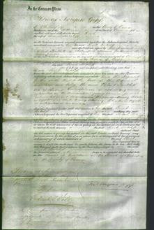 Court of Common Pleas - Sarah Ratcliff-Original Ancestry