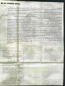 Court of Common Pleas - Elizabeth Carter-Original Ancestry