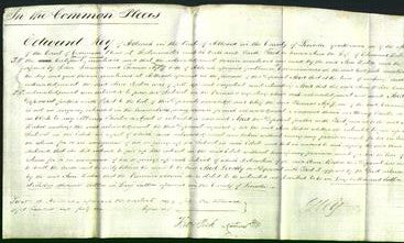 Court of Common Pleas - Ann Boston-Original Ancestry