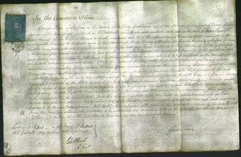 Court of Common Pleas - Elizabeth Evans-Original Ancestry