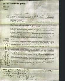 Court of Common Pleas - Ruth Langman-Original Ancestry