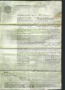 Court of Common Pleas - Susannah Frances Stokes-Original Ancestry