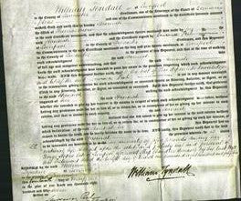 Court of Common Pleas - Hannah Snow-Original Ancestry