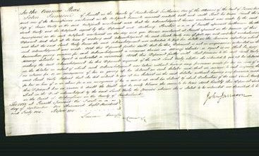 Court of Common Pleas - Sarah Varty-Original Ancestry