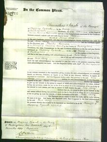 Court of Common Pleas - Jane Lacey-Original Ancestry