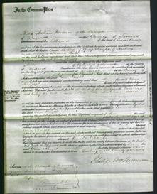 Court of Common Pleas - Ann Knight-Original Ancestry