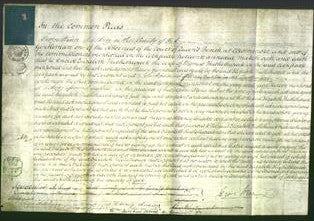 Court of Common Pleas - Elizabeth Thistlethwaite-Original Ancestry