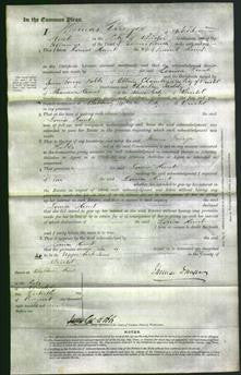 Court of Common Pleas - Louisa Hunt-Original Ancestry
