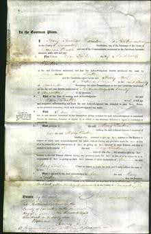 Court of Common Pleas - Mary Tinker-Original Ancestry