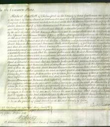 Court of Common Pleas - Elizabeth Sorrell, Jemima Stummers and Roseanna Slade-Original Ancestry