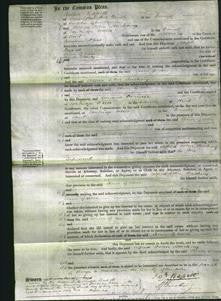 Court of Common Pleas - Ann Givin Searby-Original Ancestry