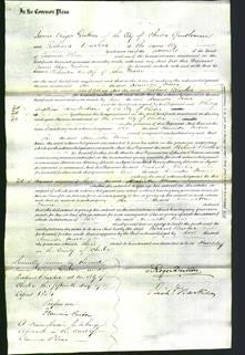 Court of Common Pleas - Henrietta Moore-Original Ancestry