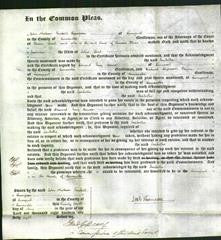 Court of Common Pleas - Isabella Seed-Original Ancestry