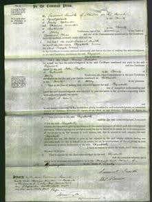 Court of Common Pleas - Elizabeth Evans-Original Ancestry