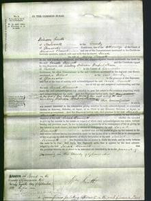 Court of Common Pleas - Sarah Bennett-Original Ancestry