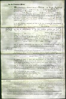 Court of Common Pleas - Marion Henrietta Annie Hitchcock-Original Ancestry