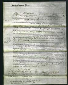 Court of Common Pleas - Mary Watson-Original Ancestry