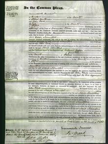 Court of Common Pleas - Maria Mountford-Original Ancestry