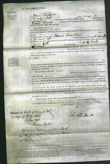 Court of Common Pleas - Emma Honeybone-Original Ancestry