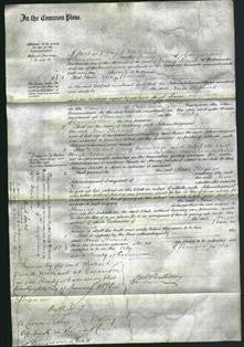 Court of Common Pleas - Ann Thomas-Original Ancestry