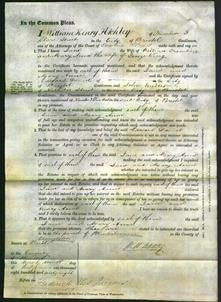 Court of Common Pleas - Jane Tremling and Mary Anne King-Original Ancestry