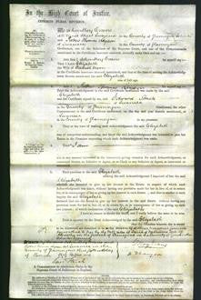 Court of Common Pleas - Elizabeth Owen-Original Ancestry