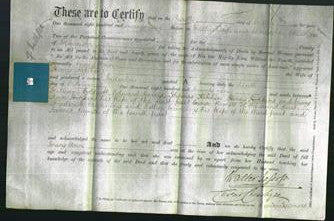 Deed by Married Women - Mary Ann Hopkins-Original Ancestry