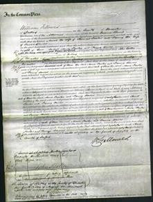 Court of Common Pleas - Anne Fowler and Fanny Davies-Original Ancestry