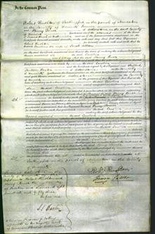 Court of Common Pleas - Caroline Allton-Original Ancestry