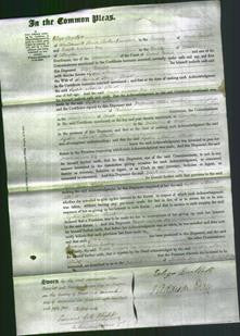 Court of Common Pleas - Lydia Maria Elliott-Original Ancestry